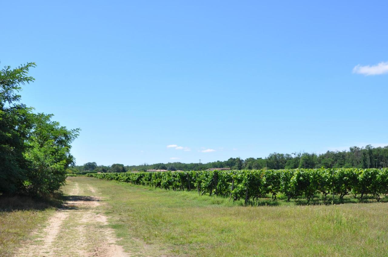 Clos San Gianni Pujols-sur-Ciron Buitenkant foto